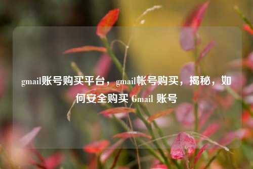 gmail账号购买平台，gmail帐号购买，揭秘，如何安全购买 Gmail 账号