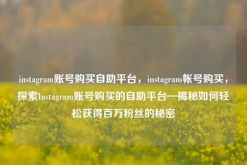instagram账号购买自助平台，instagram帐号购买，探索Instagram账号购买的自助平台—揭秘如何轻松获得百万粉丝的秘密