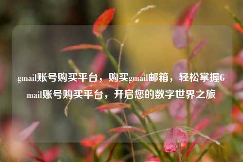 gmail账号购买平台，购买gmail邮箱，轻松掌握Gmail账号购买平台，开启您的数字世界之旅