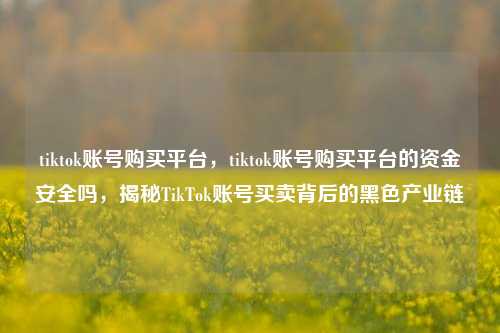 tiktok账号购买平台，tiktok账号购买平台的资金安全吗，揭秘TikTok账号买卖背后的黑色产业链