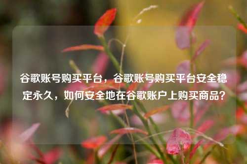 谷歌账号购买平台，谷歌账号购买平台安全稳定永久，如何安全地在谷歌账户上购买商品？