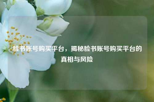 脸书账号购买平台，揭秘脸书账号购买平台的真相与风险