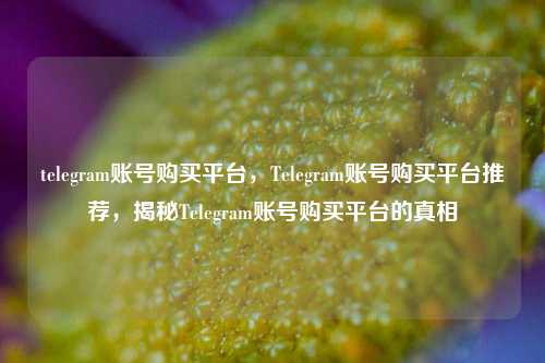 telegram账号购买平台，Telegram账号购买平台推荐，揭秘Telegram账号购买平台的真相
