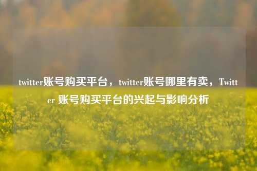 twitter账号购买平台，twitter账号哪里有卖，Twitter 账号购买平台的兴起与影响分析