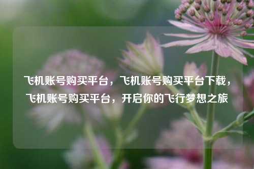 飞机账号购买平台，飞机账号购买平台下载，飞机账号购买平台，开启你的飞行梦想之旅