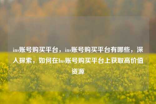 ins账号购买平台，ins账号购买平台有哪些，深入探索，如何在Ins账号购买平台上获取高价值资源