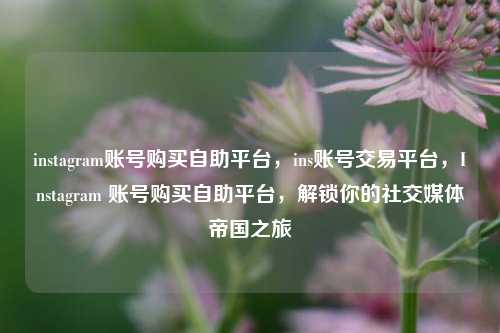 instagram账号购买自助平台，ins账号交易平台，Instagram 账号购买自助平台，解锁你的社交媒体帝国之旅