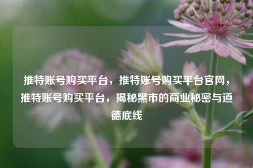 推特账号购买平台，推特账号购买平台官网，推特账号购买平台，揭秘黑市的商业秘密与道德底线