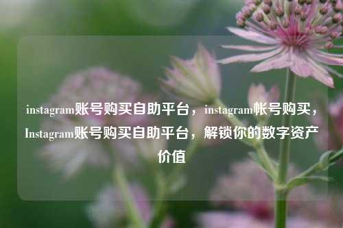instagram账号购买自助平台，instagram帐号购买，Instagram账号购买自助平台，解锁你的数字资产价值