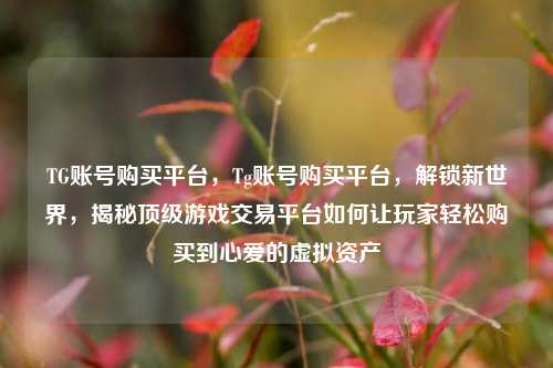 TG账号购买平台，Tg账号购买平台，解锁新世界，揭秘顶级游戏交易平台如何让玩家轻松购买到心爱的虚拟资产