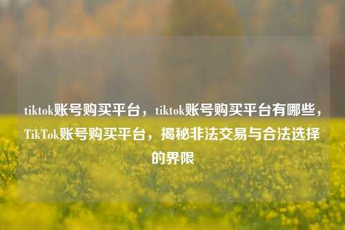 tiktok账号购买平台，tiktok账号购买平台有哪些，TikTok账号购买平台，揭秘非法交易与合法选择的界限