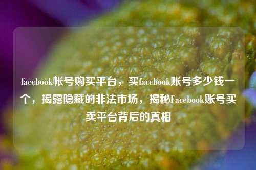 facebook帐号购买平台，买facebook账号多少钱一个，揭露隐藏的非法市场，揭秘Facebook账号买卖平台背后的真相