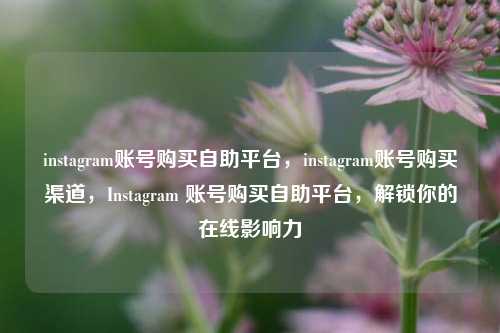 instagram账号购买自助平台，instagram账号购买渠道，Instagram 账号购买自助平台，解锁你的在线影响力  第1张
