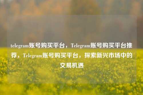 telegram账号购买平台，Telegram账号购买平台推荐，Telegram账号购买平台，探索新兴市场中的交易机遇