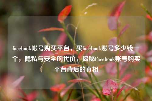 facebook帐号购买平台，买facebook账号多少钱一个，隐私与安全的代价，揭秘Facebook账号购买平台背后的真相