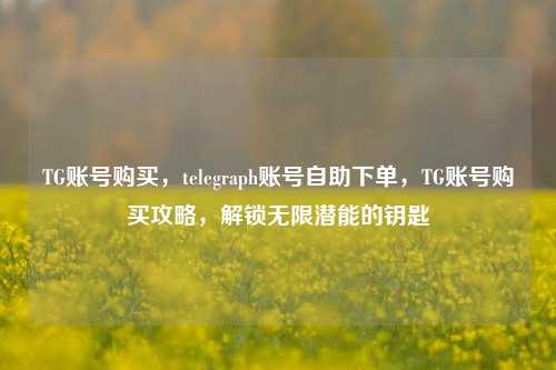 TG账号购买，telegraph账号自助下单，TG账号购买攻略，解锁无限潜能的钥匙