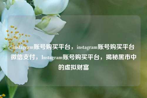 instagram账号购买平台，instagram账号购买平台微信支付，Instagram账号购买平台，揭秘黑市中的虚拟财富