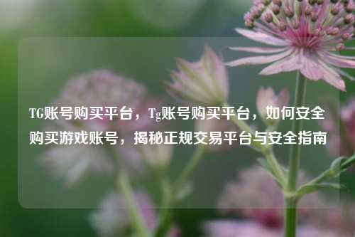 TG账号购买平台，Tg账号购买平台，如何安全购买游戏账号，揭秘正规交易平台与安全指南
