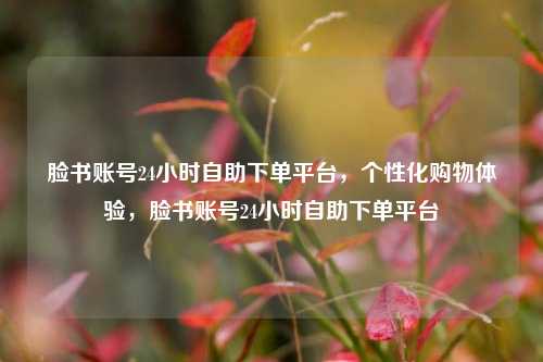 脸书账号24小时自助下单平台，个性化购物体验，脸书账号24小时自助下单平台