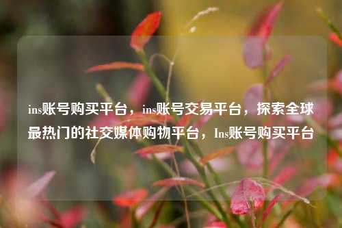 ins账号购买平台，ins账号交易平台，探索全球最热门的社交媒体购物平台，Ins账号购买平台
