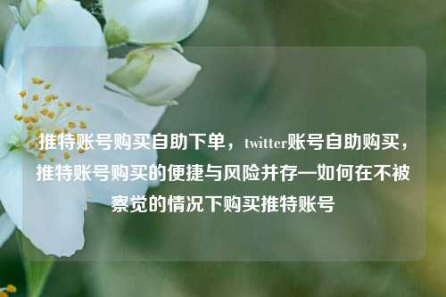 推特账号购买自助下单，twitter账号自助购买，推特账号购买的便捷与风险并存—如何在不被察觉的情况下购买推特账号