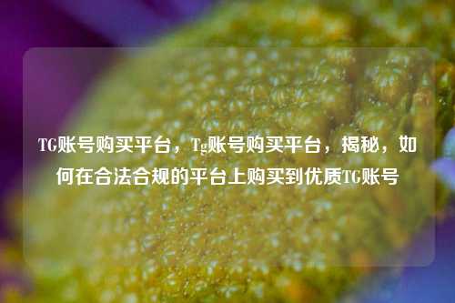 TG账号购买平台，Tg账号购买平台，揭秘，如何在合法合规的平台上购买到优质TG账号