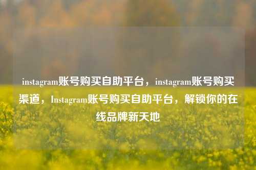 instagram账号购买自助平台，instagram账号购买渠道，Instagram账号购买自助平台，解锁你的在线品牌新天地
