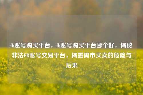 fb账号购买平台，fb账号购买平台哪个好，揭秘非法FB账号交易平台，揭露黑市买卖的危险与后果