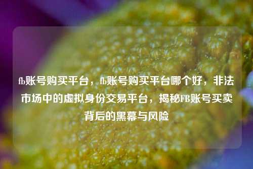 fb账号购买平台，fb账号购买平台哪个好，非法市场中的虚拟身份交易平台，揭秘FB账号买卖背后的黑幕与风险