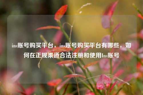 ins账号购买平台，ins账号购买平台有哪些，如何在正规渠道合法注册和使用Ins账号