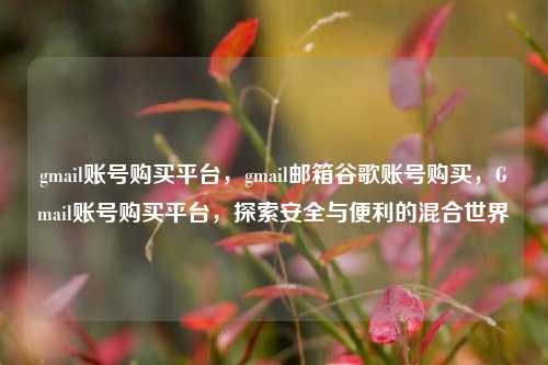 gmail账号购买平台，gmail邮箱谷歌账号购买，Gmail账号购买平台，探索安全与便利的混合世界