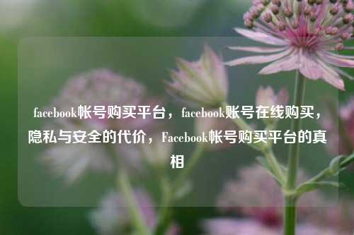 facebook帐号购买平台，facebook账号在线购买，隐私与安全的代价，Facebook帐号购买平台的真相
