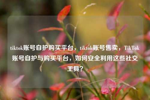 tiktok账号自护购买平台，tiktok账号售卖，TikTok账号自护与购买平台，如何安全利用这些社交工具？