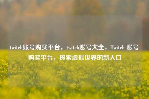 twitch账号购买平台，twitch账号大全，Twitch 账号购买平台，探索虚拟世界的新入口
