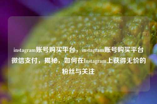 instagram账号购买平台，instagram账号购买平台微信支付，揭秘，如何在Instagram上获得无价的粉丝与关注