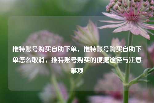 推特账号购买自助下单，推特账号购买自助下单怎么取消，推特账号购买的便捷途径与注意事项