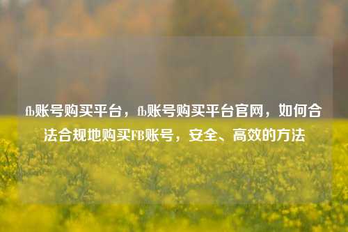 fb账号购买平台，fb账号购买平台官网，如何合法合规地购买FB账号，安全、高效的方法