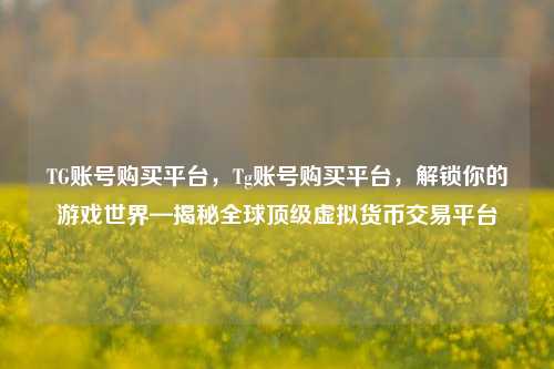 TG账号购买平台，Tg账号购买平台，解锁你的游戏世界—揭秘全球顶级虚拟货币交易平台