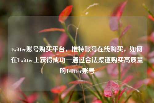 twitter账号购买平台，推特账号在线购买，如何在Twitter上获得成功—通过合法渠道购买高质量的Twitter账号