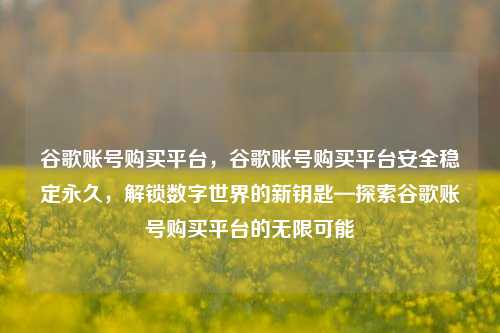 谷歌账号购买平台，谷歌账号购买平台安全稳定永久，解锁数字世界的新钥匙—探索谷歌账号购买平台的无限可能