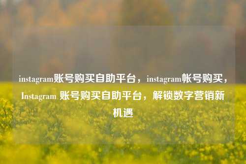 instagram账号购买自助平台，instagram帐号购买，Instagram 账号购买自助平台，解锁数字营销新机遇