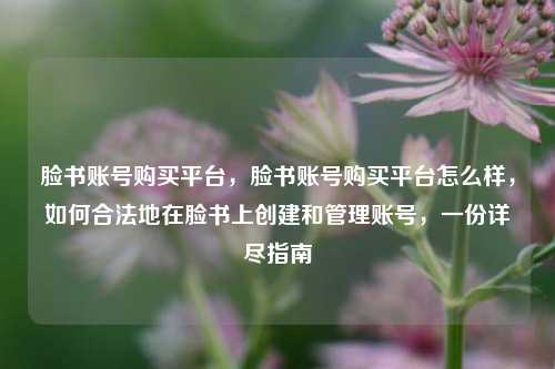 脸书账号购买平台，脸书账号购买平台怎么样，如何合法地在脸书上创建和管理账号，一份详尽指南