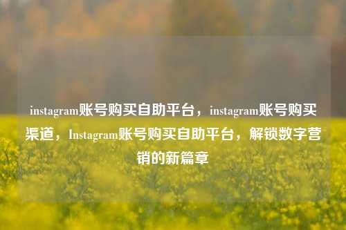 instagram账号购买自助平台，instagram账号购买渠道，Instagram账号购买自助平台，解锁数字营销的新篇章