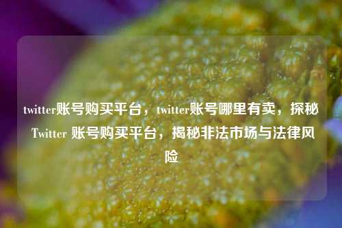 twitter账号购买平台，twitter账号哪里有卖，探秘 Twitter 账号购买平台，揭秘非法市场与法律风险