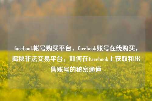 facebook帐号购买平台，facebook账号在线购买，揭秘非法交易平台，如何在Facebook上获取和出售账号的秘密通道