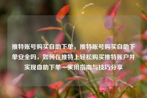 推特账号购买自助下单，推特账号购买自助下单安全吗，如何在推特上轻松购买推特账户并实现自助下单—实用指南与技巧分享