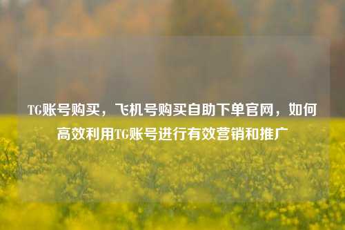 TG账号购买，飞机号购买自助下单官网，如何高效利用TG账号进行有效营销和推广