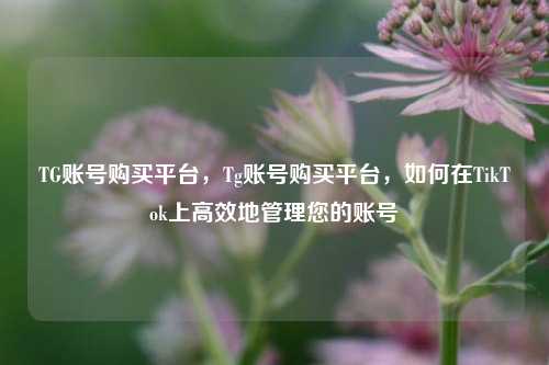TG账号购买平台，Tg账号购买平台，如何在TikTok上高效地管理您的账号