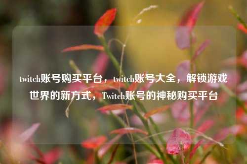twitch账号购买平台，twitch账号大全，解锁游戏世界的新方式，Twitch账号的神秘购买平台