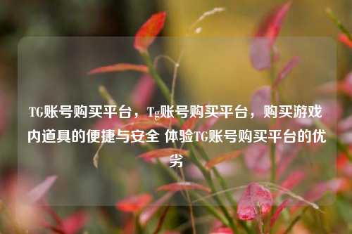TG账号购买平台，Tg账号购买平台，购买游戏内道具的便捷与安全 体验TG账号购买平台的优劣